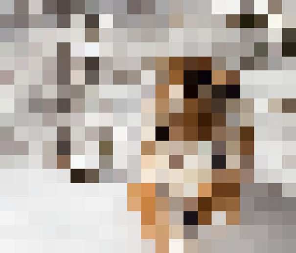 Pixelated image of an Amur Tiger displayed with only 450 pixels